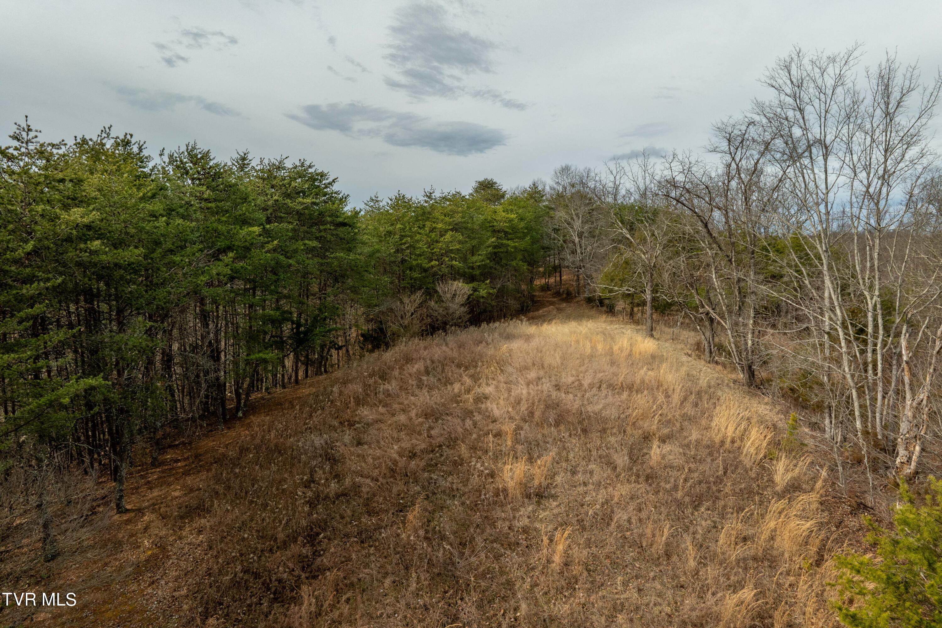 Tbd Lick Creek Road, Watauga, Tennessee image 23