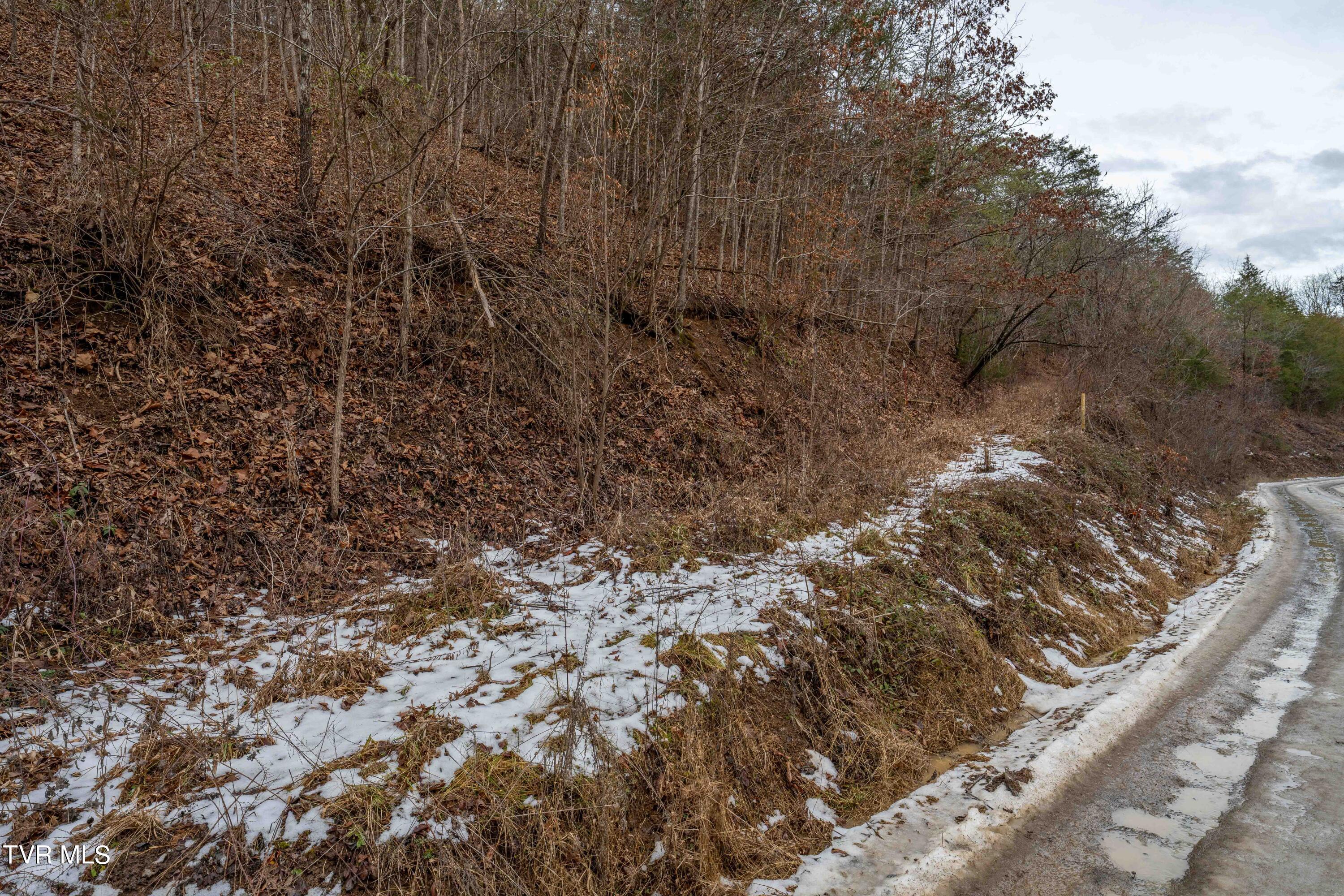 Tbd Lick Creek Road, Watauga, Tennessee image 36