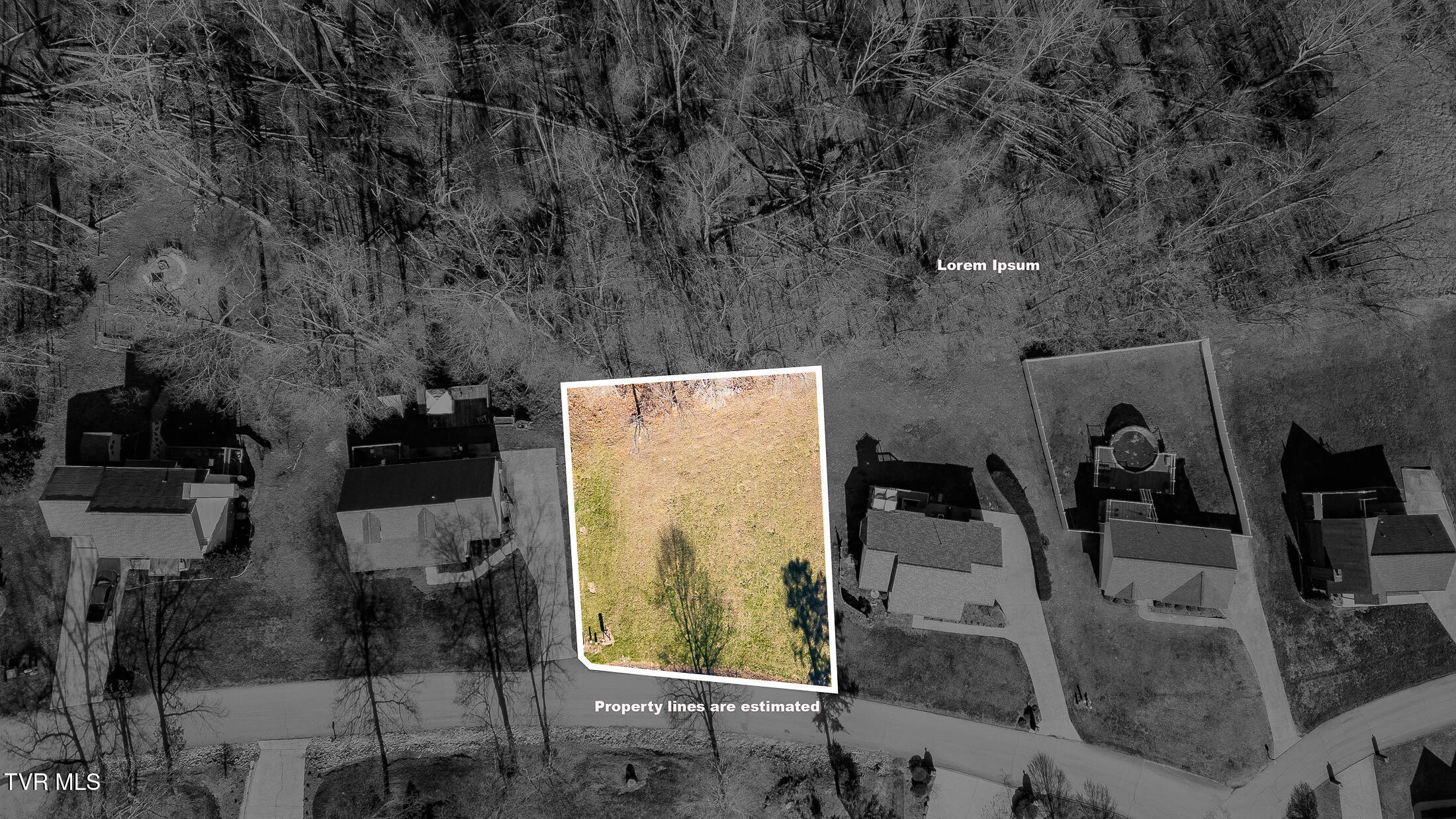 Moccasin Hills Drive, Gate City, Virginia image 14