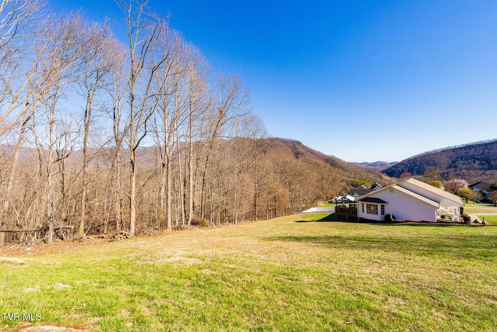 Photo of 0 Moccasin Hills Drive, Gate City, VA 24251 (MLS # 9977458)