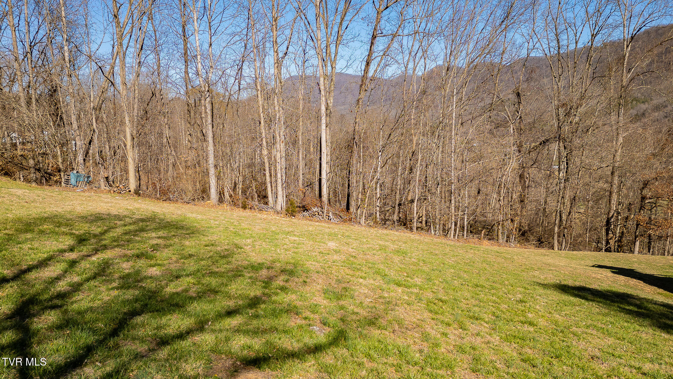 Moccasin Hills Drive, Gate City, Virginia image 5