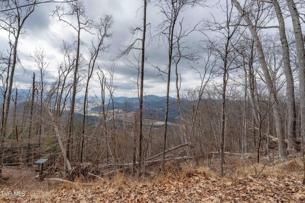 Photo of 26 Iroquois Road, Mountain City, TN 37683 (MLS # 9992048)