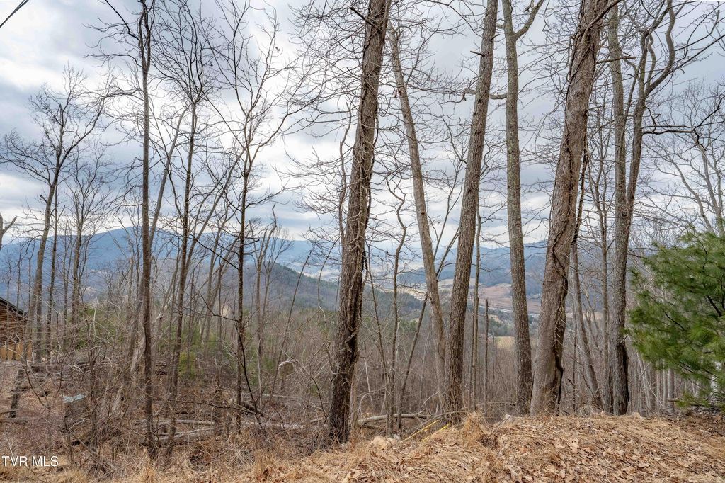 Photo of 26 Iroquois Road, Mountain City, TN 37683 (MLS # 9992048)