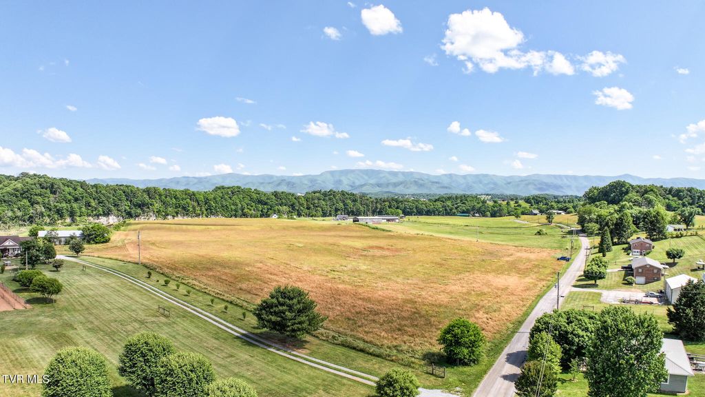 Photo of 15 Blackberry Lane, Afton, TN 37616 (MLS # 9995695)