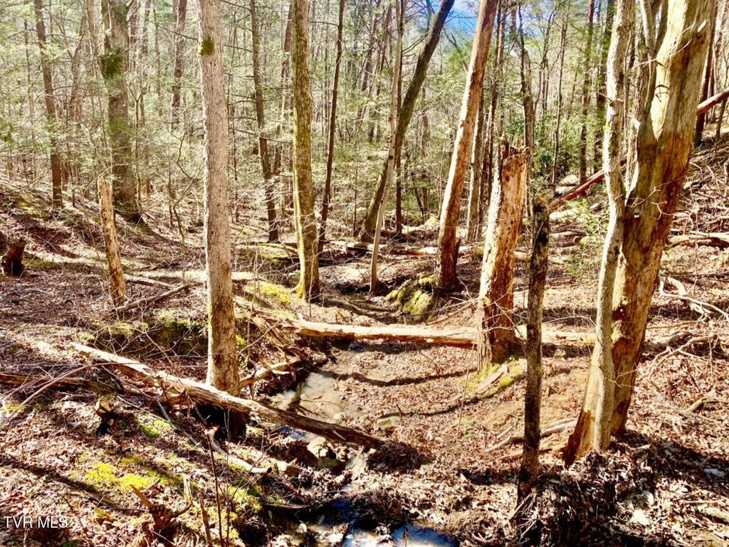 Photo of 2295 Kelley Gap Road, Greeneville, TN 37743 (MLS # 9985217)