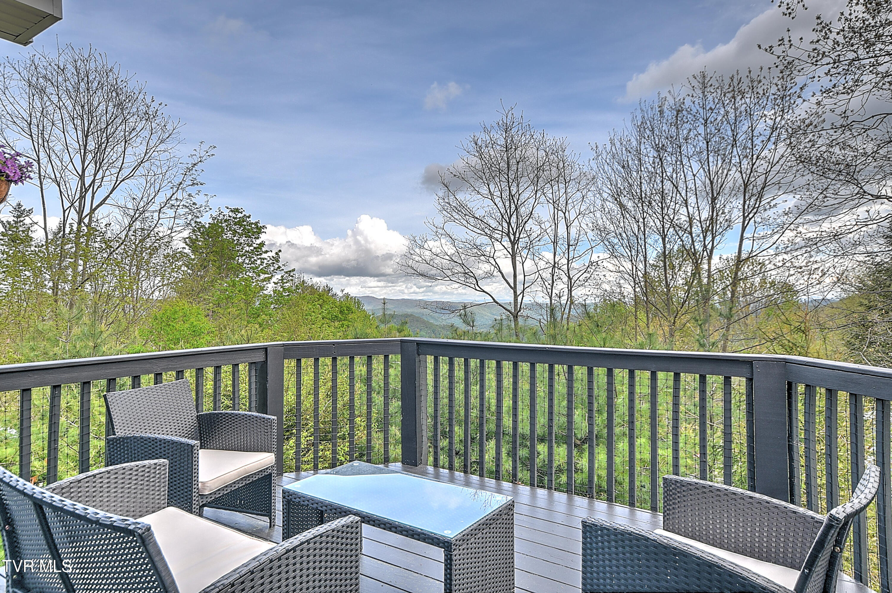190 Roanwood Road Road, Roan Mountain, Tennessee image 34