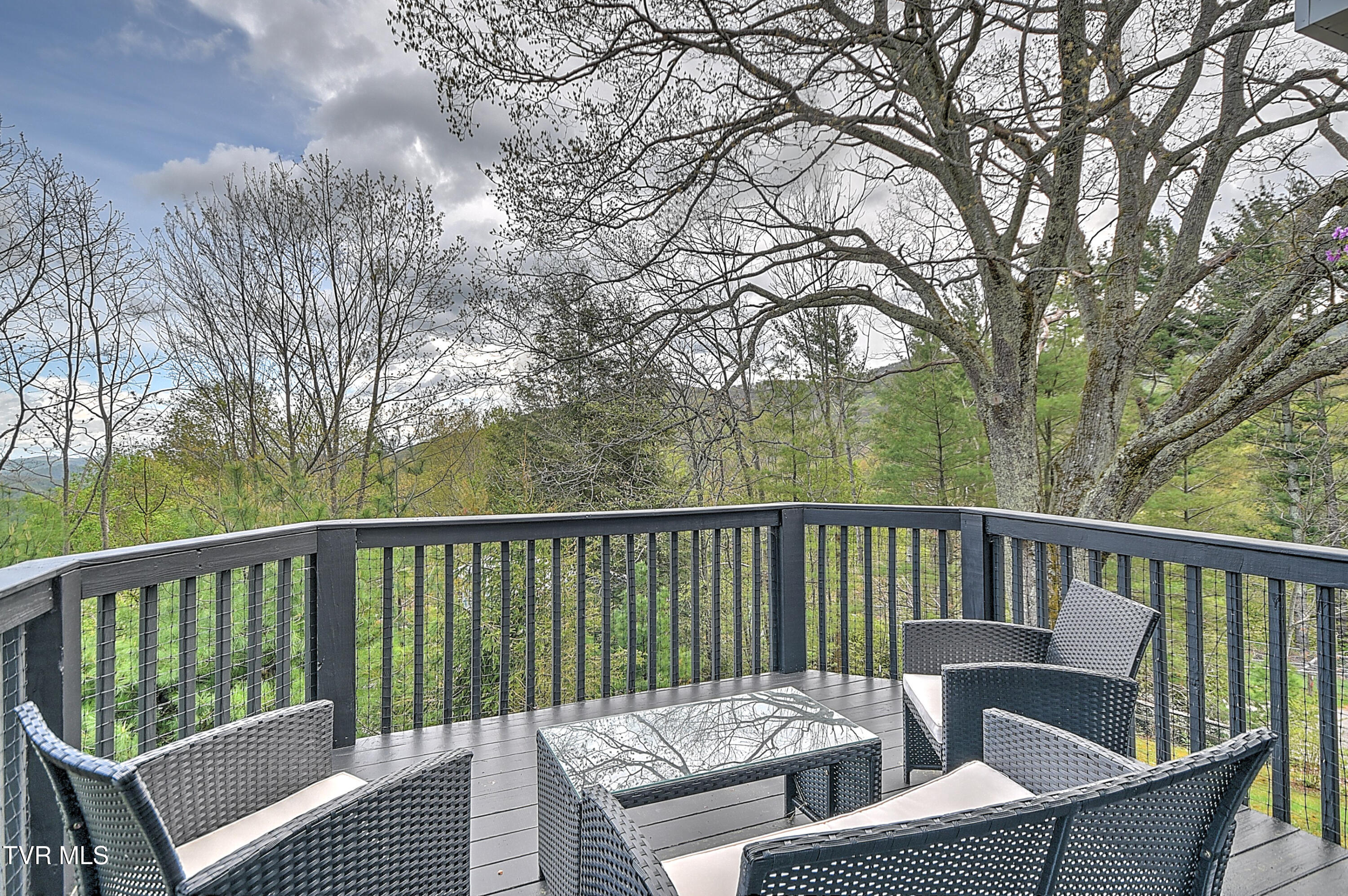190 Roanwood Road Road, Roan Mountain, Tennessee image 32