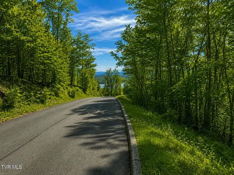 Vacant Land For Sale - 7/AC Pinnacle Point #LOT 219<br/> Mooresburg, TN 37811