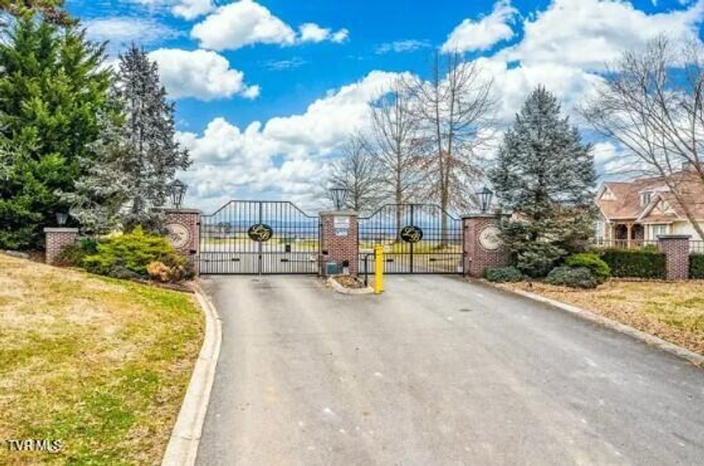 Photo of 7 Pinnacle Point #Lot 219, Mooresburg, TN 37811 (MLS # 9991415)