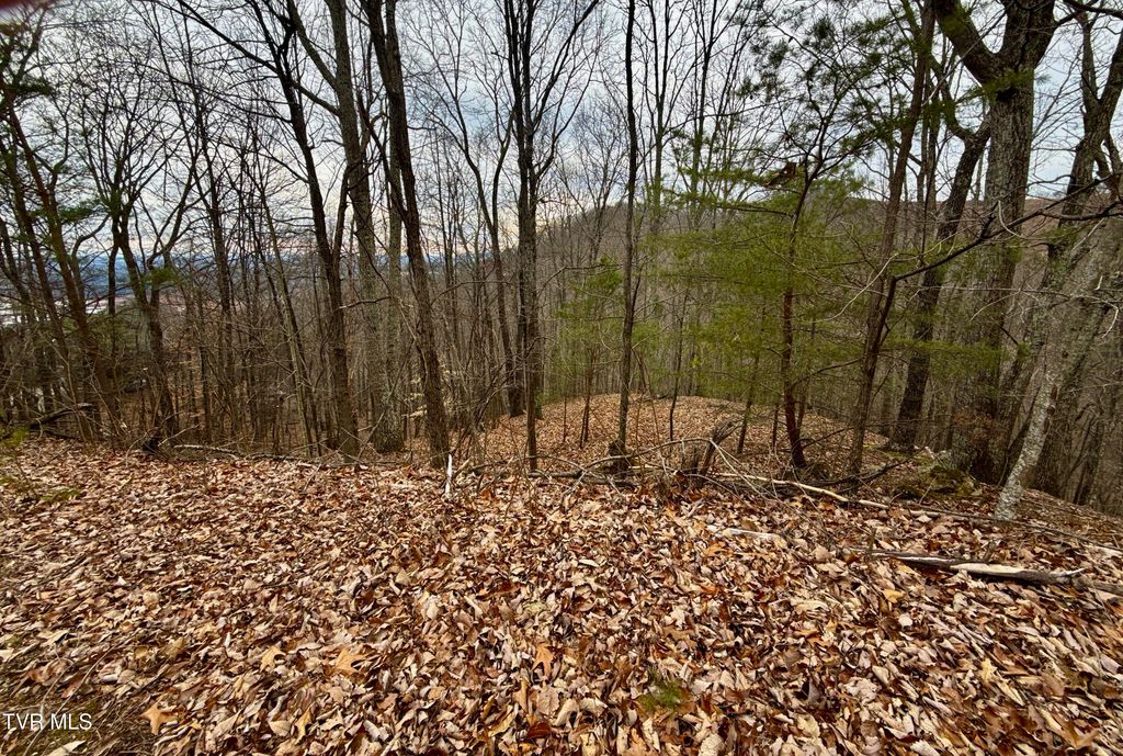 Photo of 7 Pinnacle Point #Lot 219, Mooresburg, TN 37811 (MLS # 9991415)