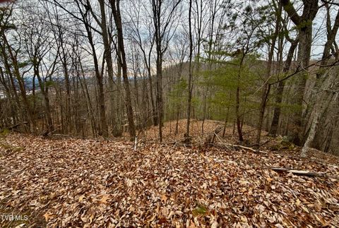 Vacant Land For Sale - 7/AC Pinnacle Point #LOT 219<br/> Mooresburg, TN 37811