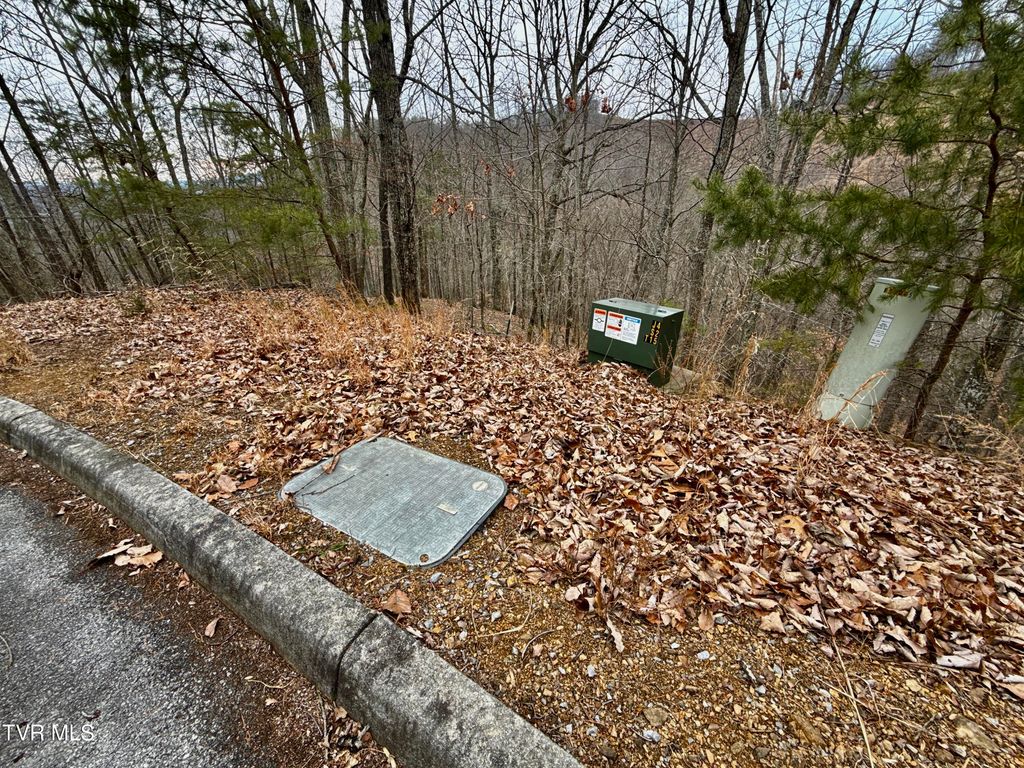 Photo of 7 Pinnacle Point #Lot 219, Mooresburg, TN 37811 (MLS # 9991415)