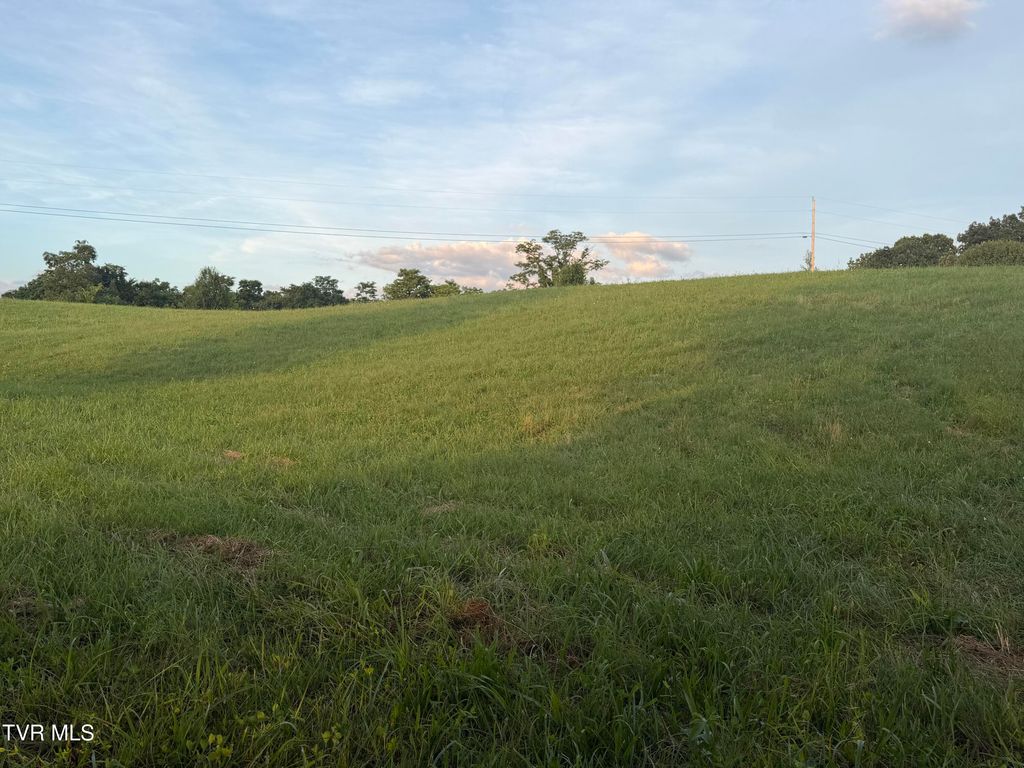 Photo of Tbd Cedar Creek Cave Road #1r3,4, Greeneville, TN 37743 (MLS # 9997137)