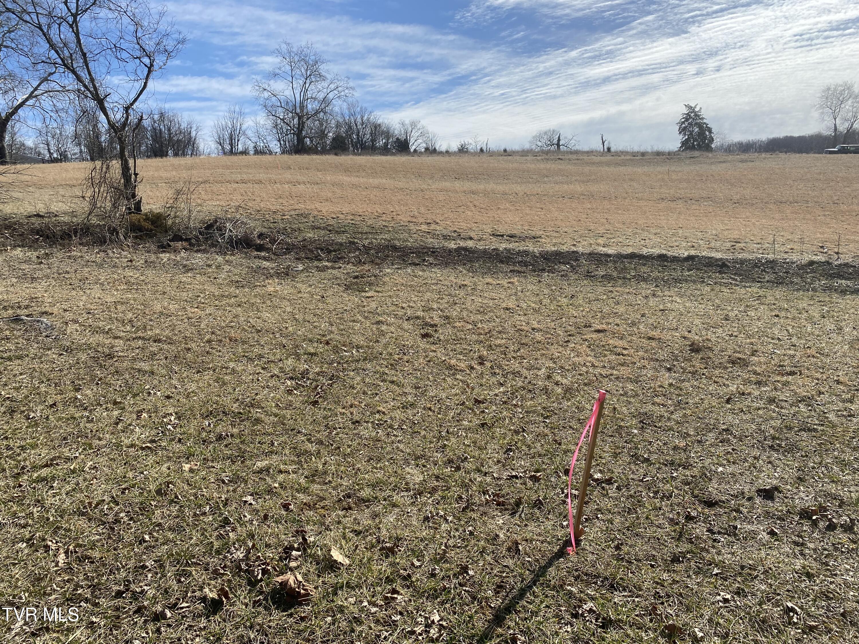 Sinking Creek (lot 4) Road, Bristol, Virginia image 6