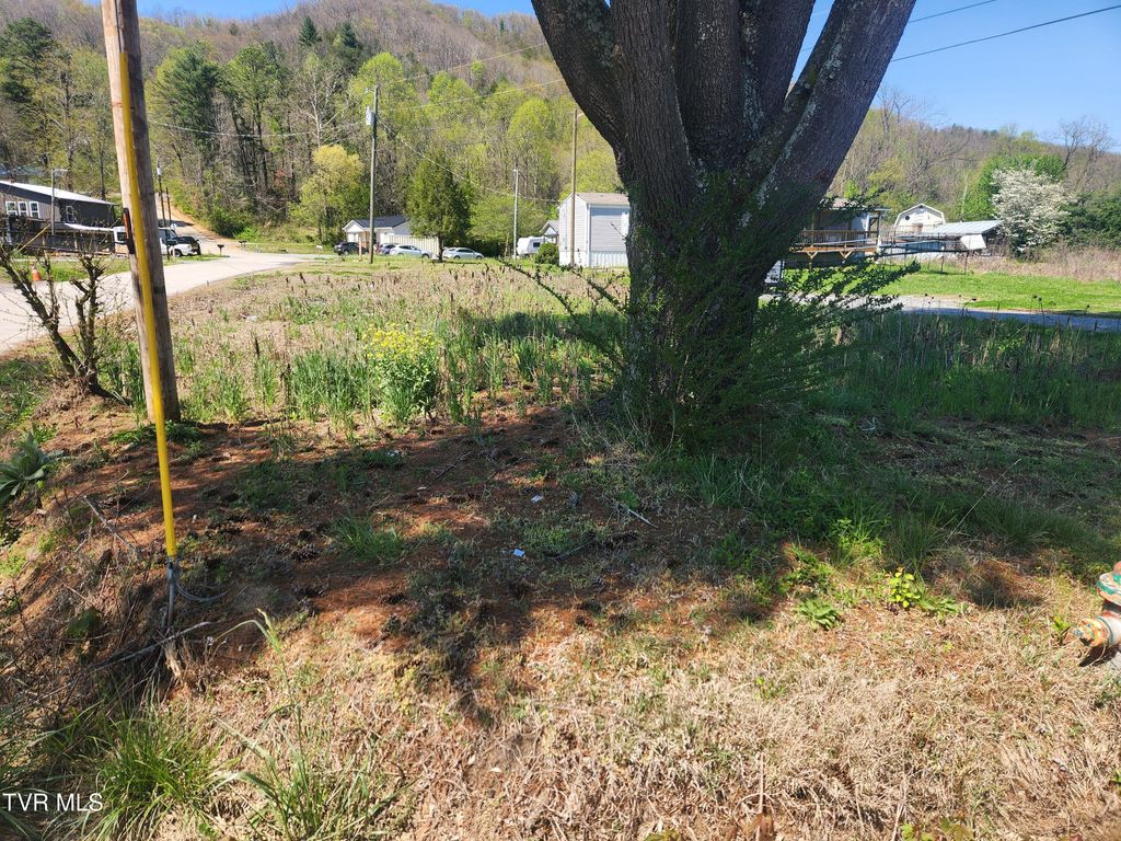 Photo of 175 Bumpus Cove Road, Erwin, TN 37650 (MLS # 9993465)