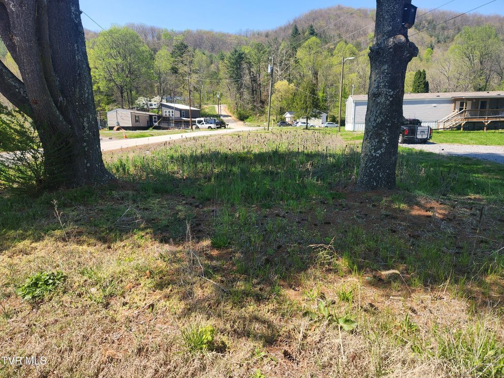 Photo of 175 Bumpus Cove Road, Erwin, TN 37650 (MLS # 9993465)