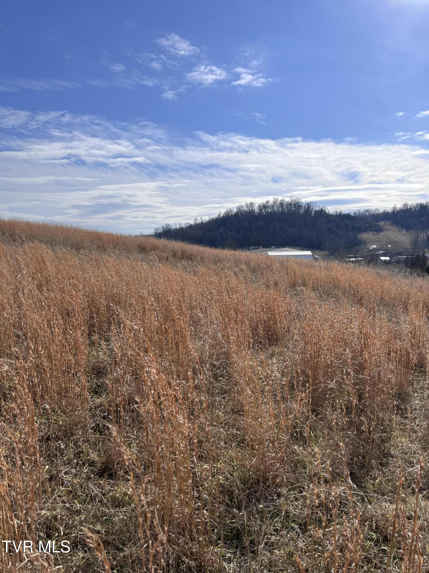 37 Rolling Hills Dr Drive, Church Hill, Tennessee image 3