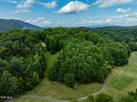 Vacant Land For Sale - TBD Golf Course Road<br/> Unicoi County, Unicoi, TN 37692