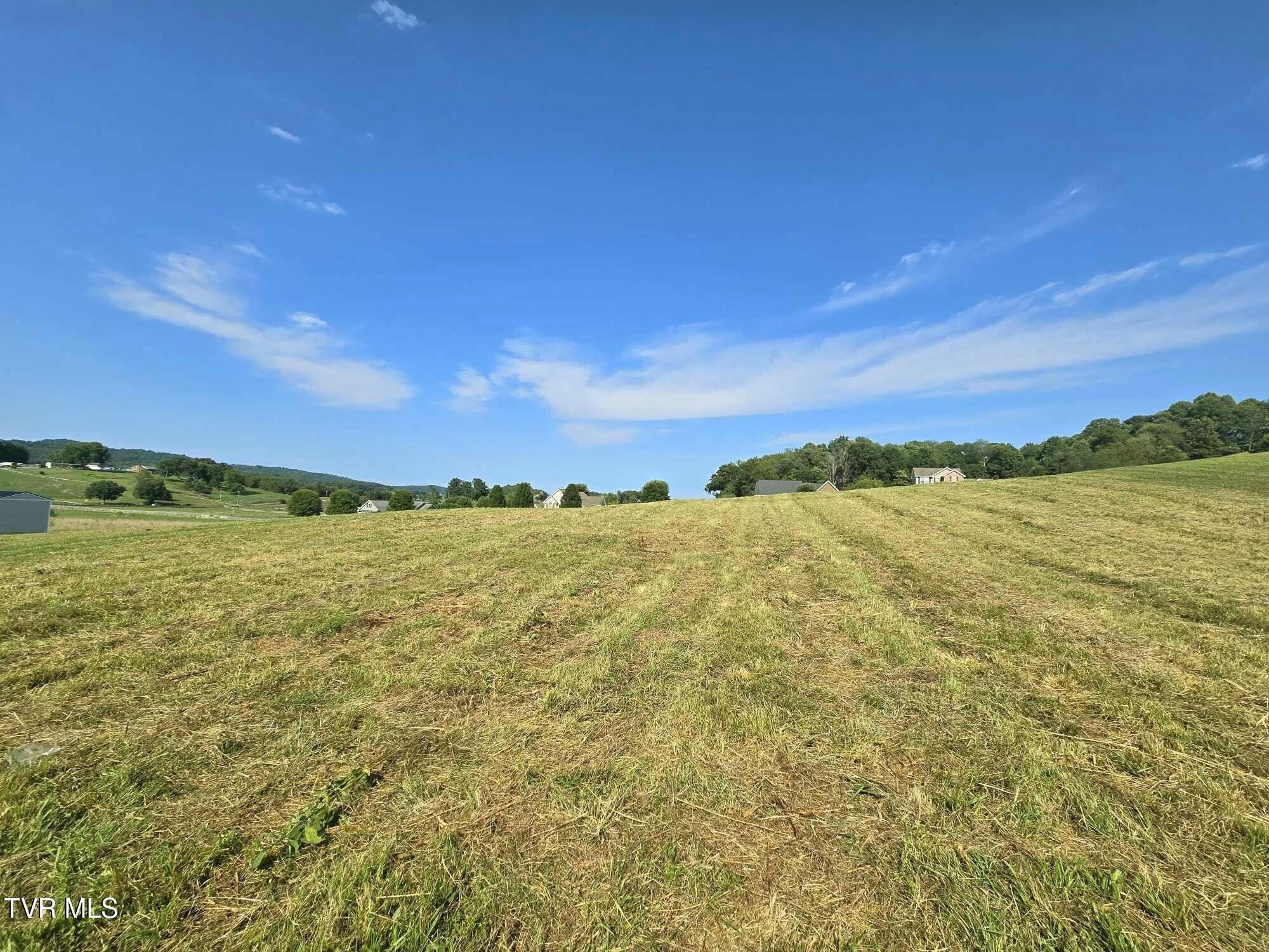Tbd Snaffle Bit Lane, Bristol, Virginia image 12