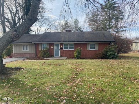 Photo of 2107 Valley Lane Lane, Johnson City, TN 37604 (MLS # 9988658)