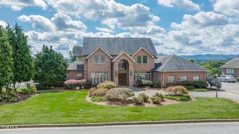 Photo of 517 Douglas Drive, Johnson City, TN 37604 (MLS # 9990312)