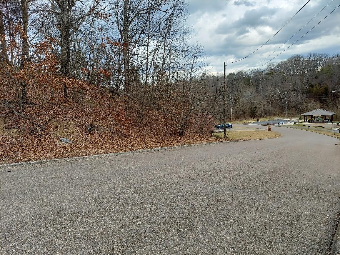 Tbd Suffolk Street, Kingsport, Tennessee image 1