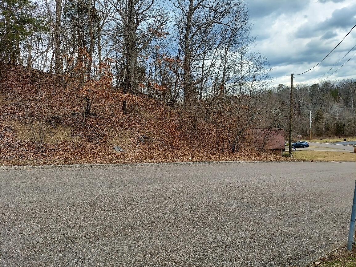 Tbd Suffolk Street, Kingsport, Tennessee image 2