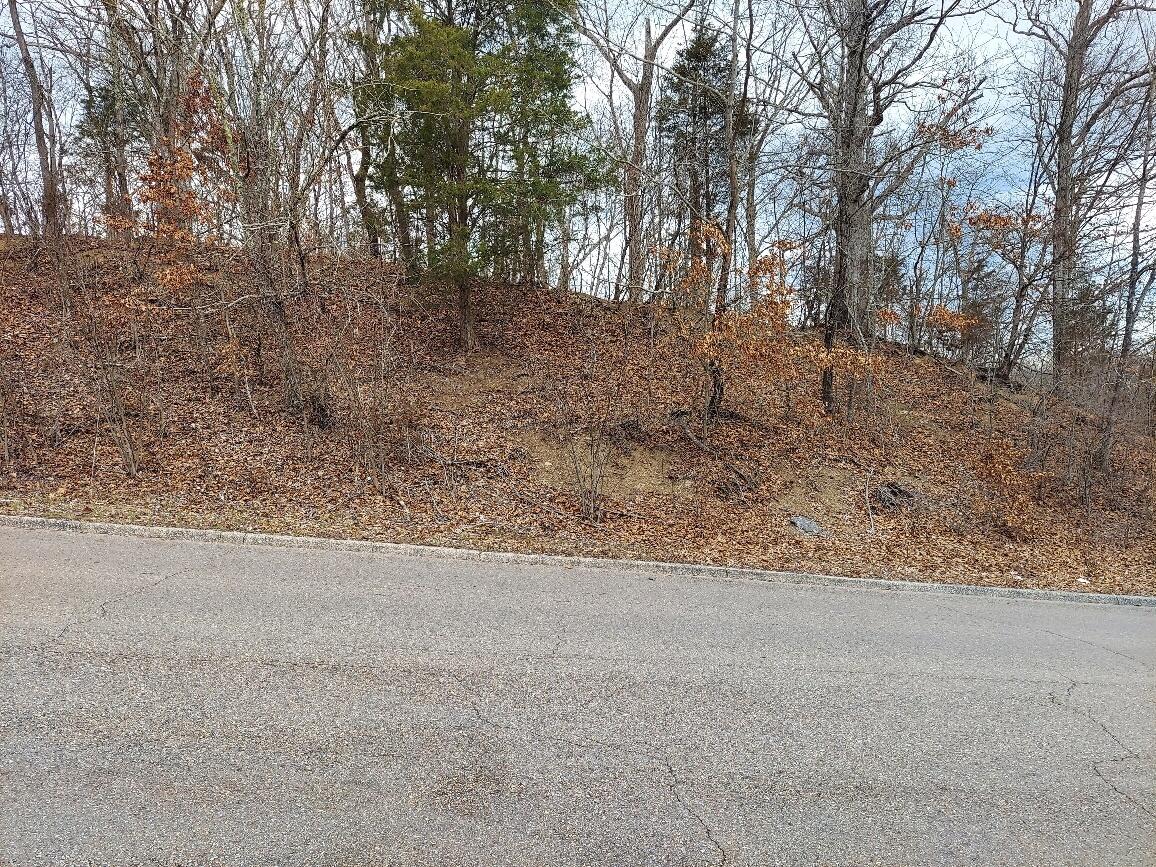 Tbd Suffolk Street, Kingsport, Tennessee image 3