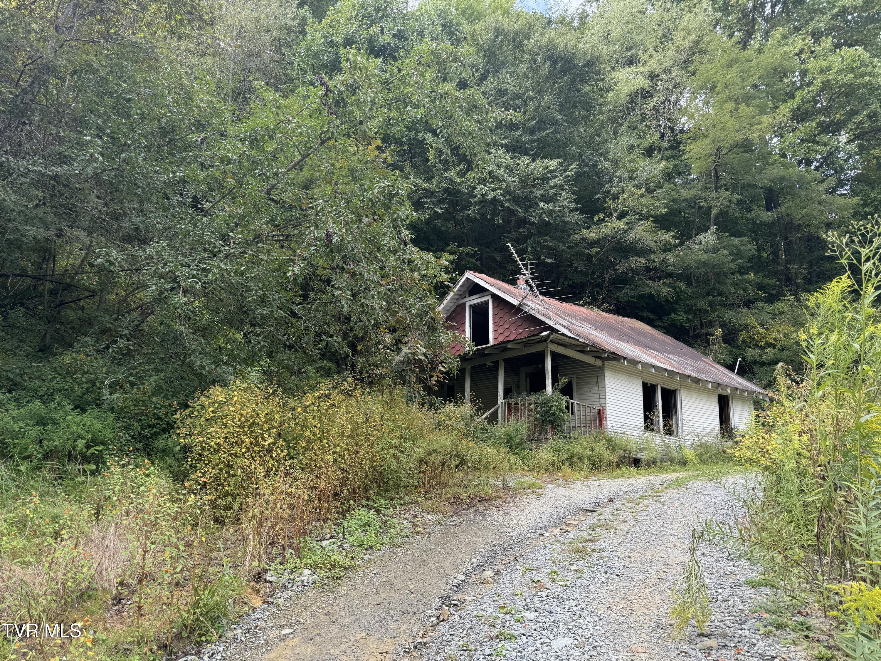 380 Crabtree Road, Roan Mountain, Tennessee image 1