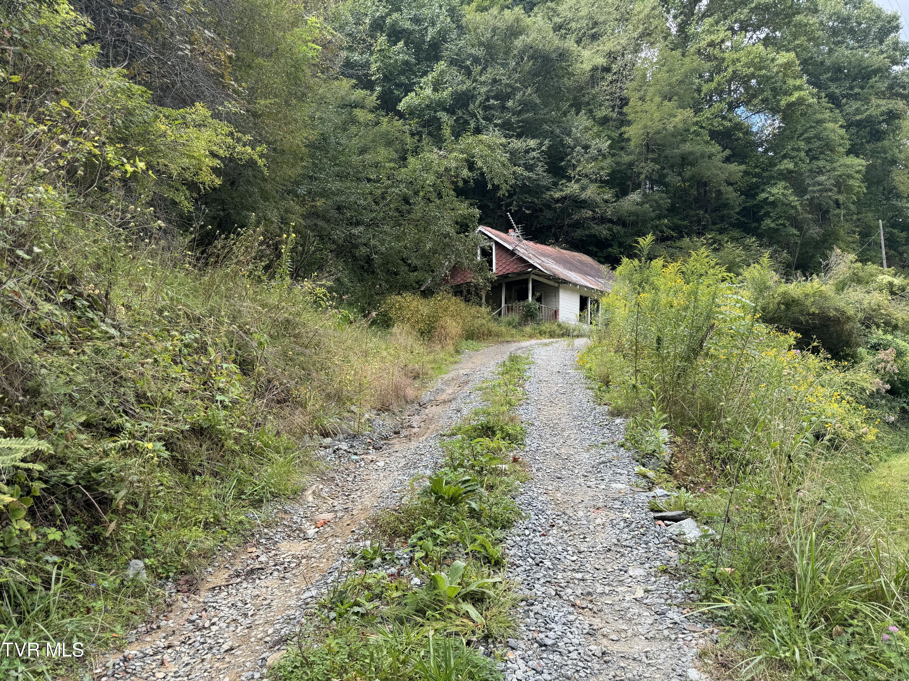380 Crabtree Road, Roan Mountain, Tennessee image 3