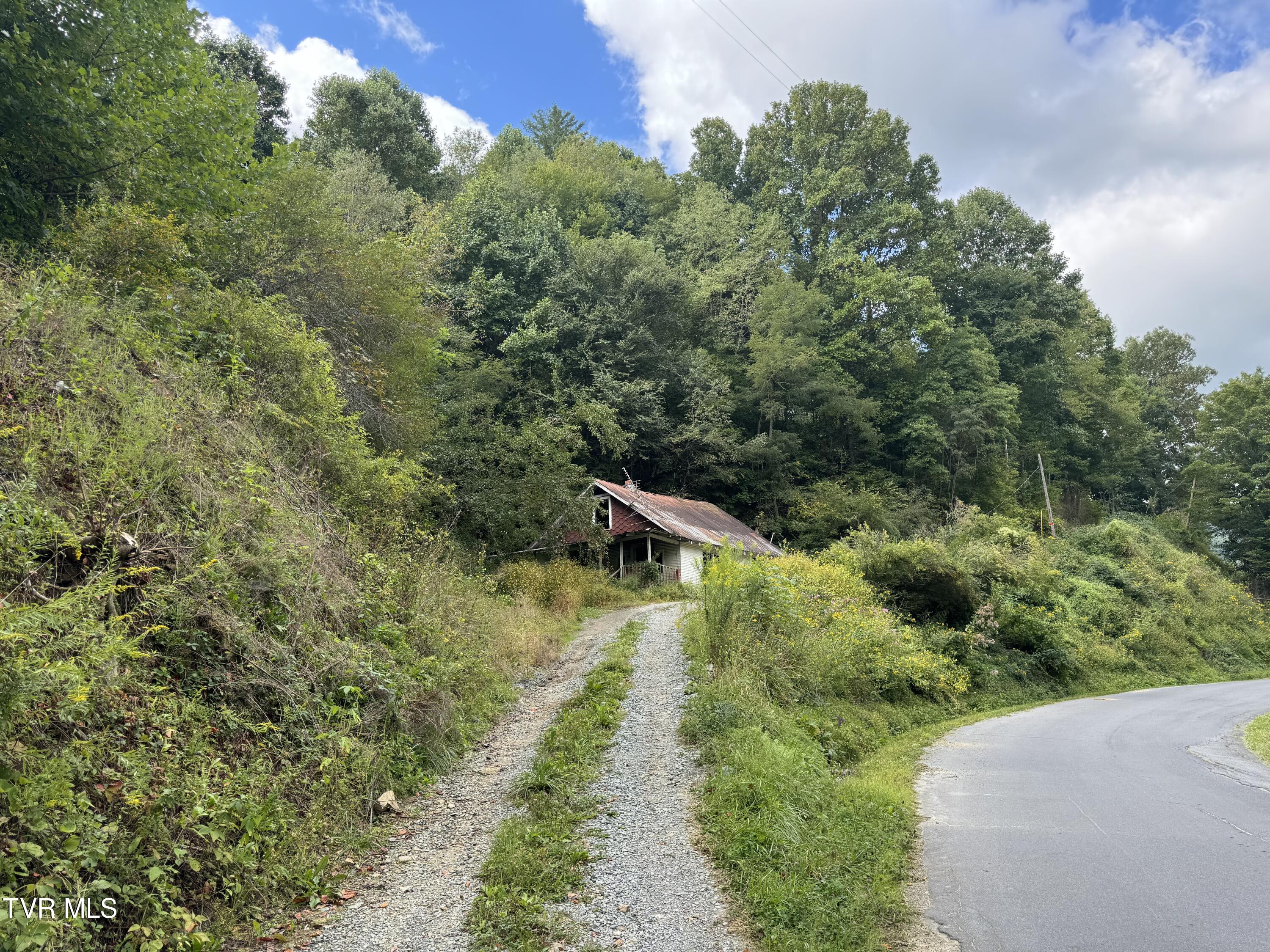 380 Crabtree Road, Roan Mountain, Tennessee image 2