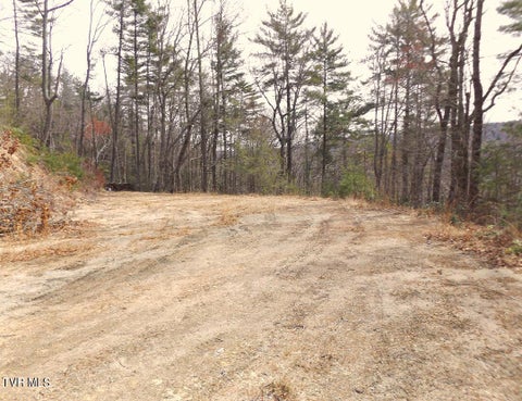 Vacant Land For Sale - 702 Heartwood Lot 56 Lane<br/> Butler, TN 37640
