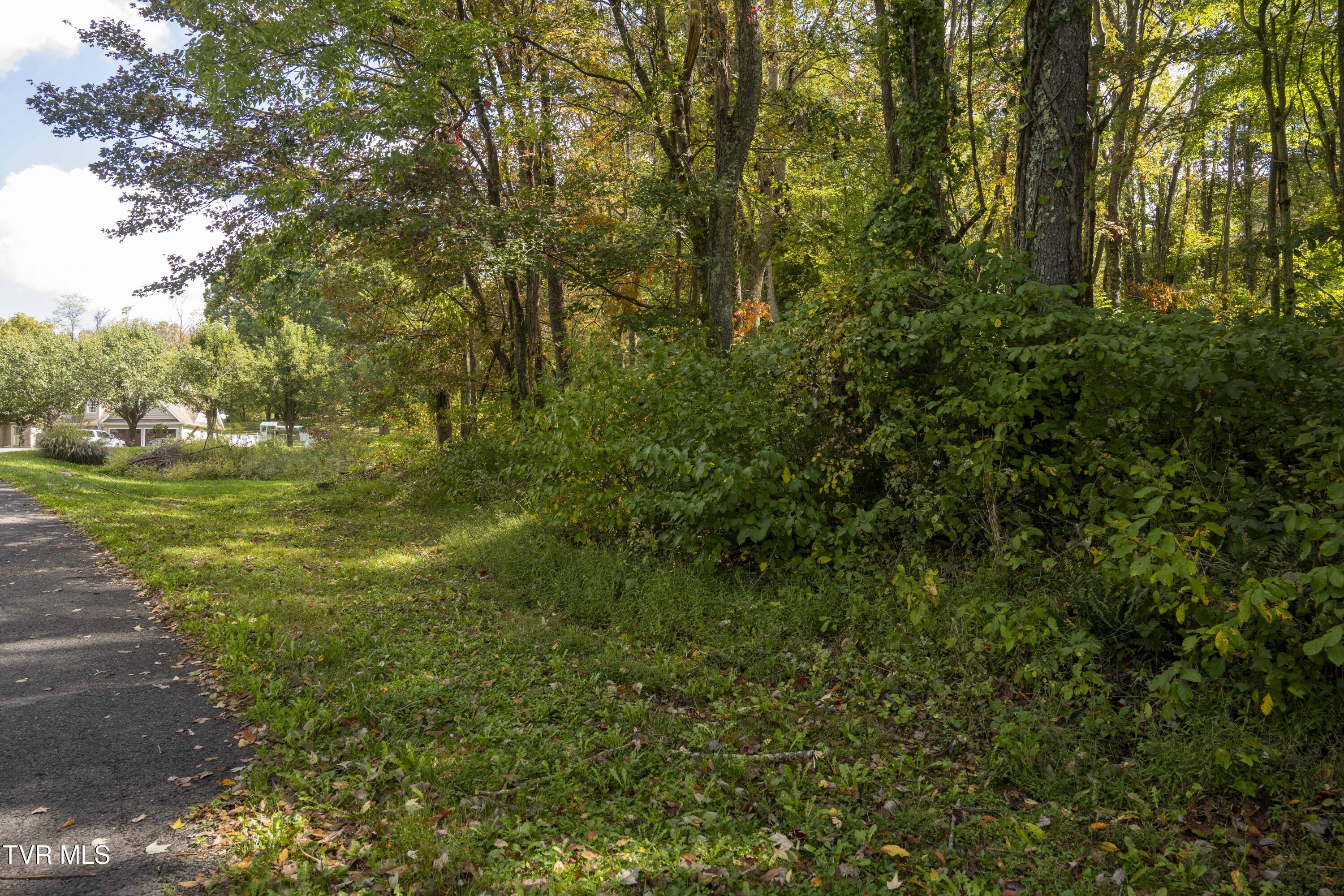Lot 69 Wood Land Circle, Lebanon, Virginia image 3