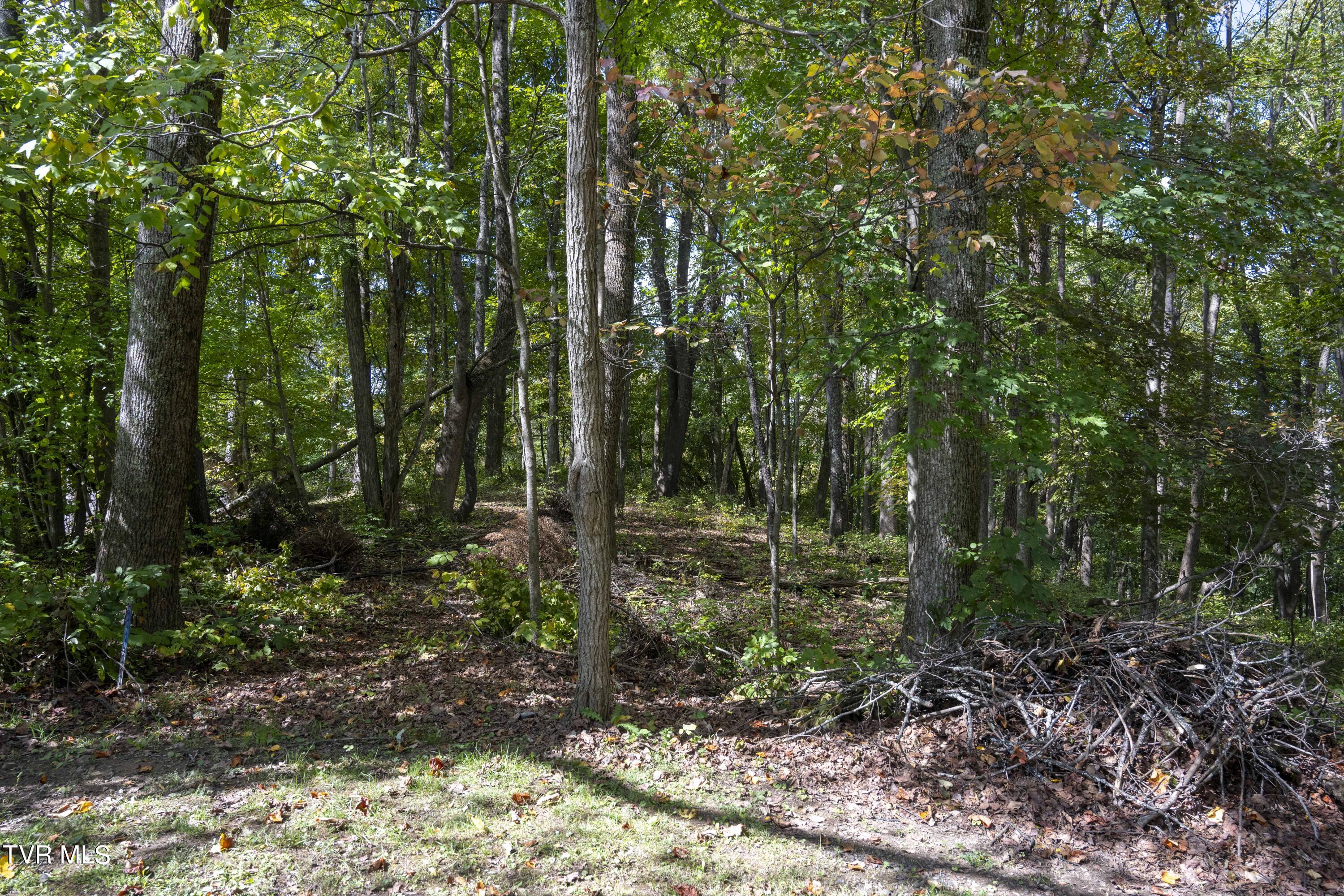 Lot 69 Wood Land Circle, Lebanon, Virginia image 4