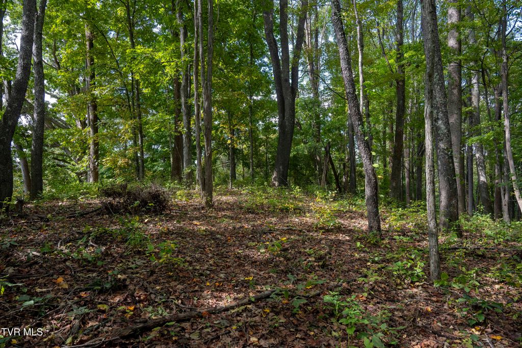 Photo of 69 Wood Land Circle, Lebanon, VA 24266 (MLS # 9972376)