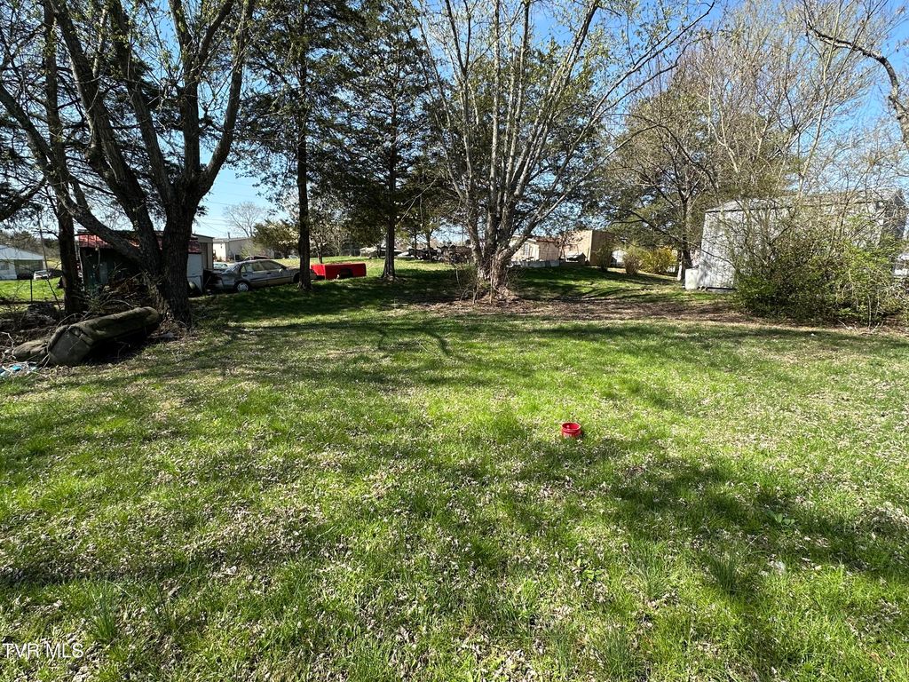 Photo of 315 Alpine Loop, Mosheim, TN 37818 (MLS # 9992371)