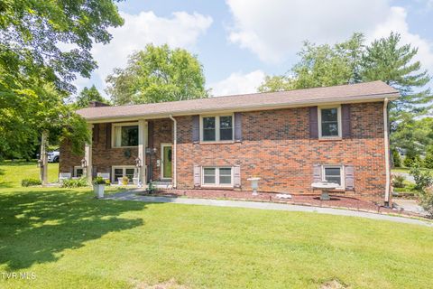 Homes For Sale - 255 Riverview Drive<br/> Washington County, Johnson City, TN 37601