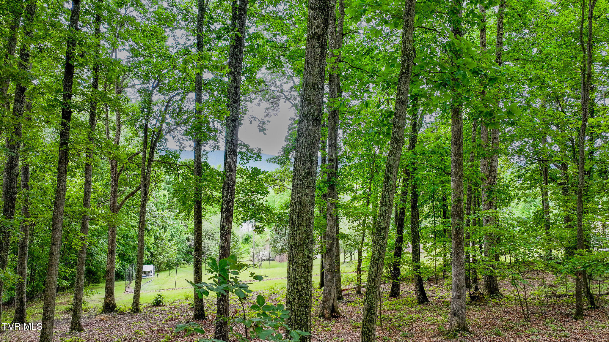 524 Cherokee Drive, Mount Carmel, Tennessee image 43