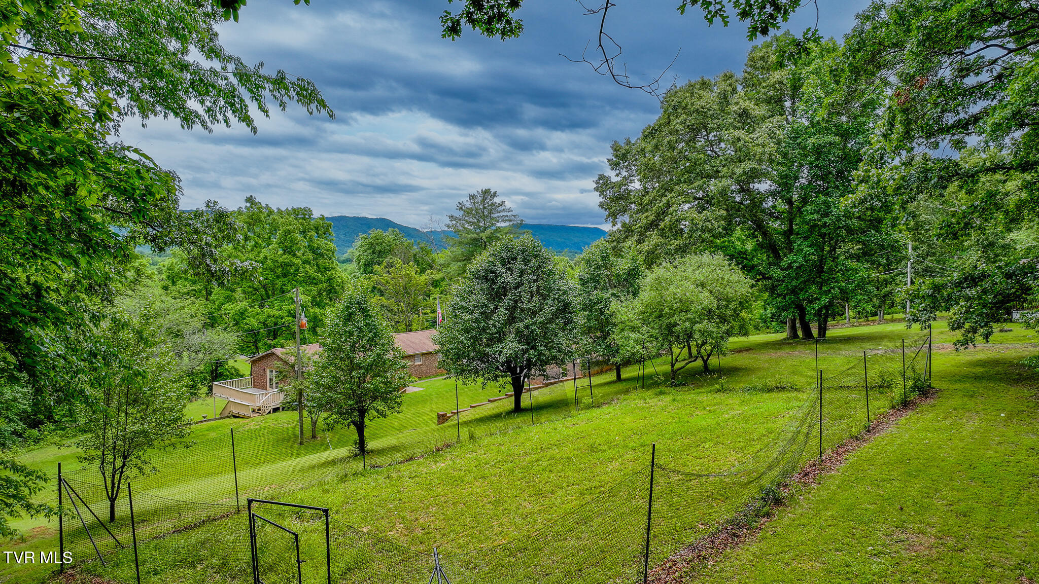 524 Cherokee Drive, Mount Carmel, Tennessee image 41