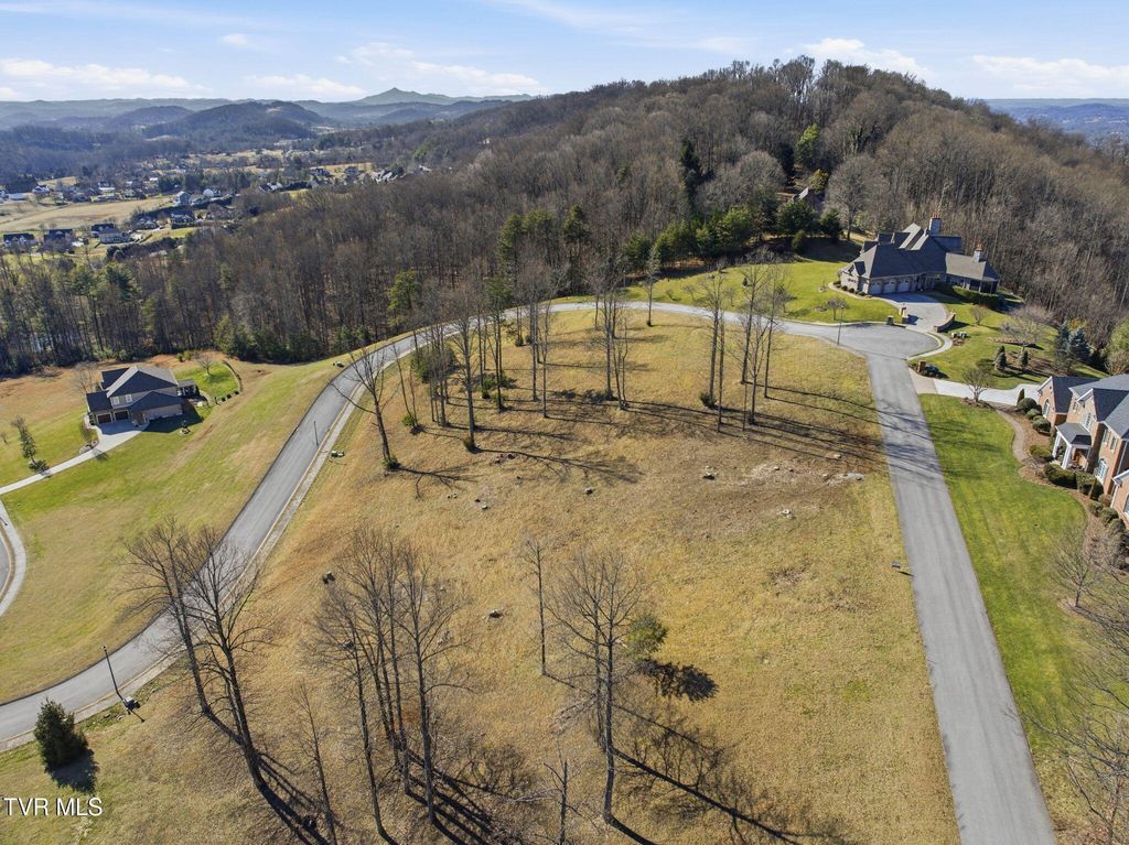 Photo of 1230 Ridgetop Trail, Kingsport, TN 37664 (MLS # 9990383)