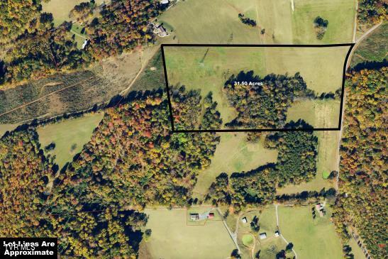 Tbd2 Flora Road, Rogersville, Tennessee image 6