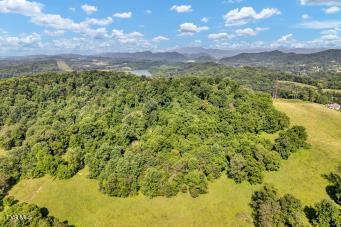 Tbd2 Flora Road, Rogersville, Tennessee image 11