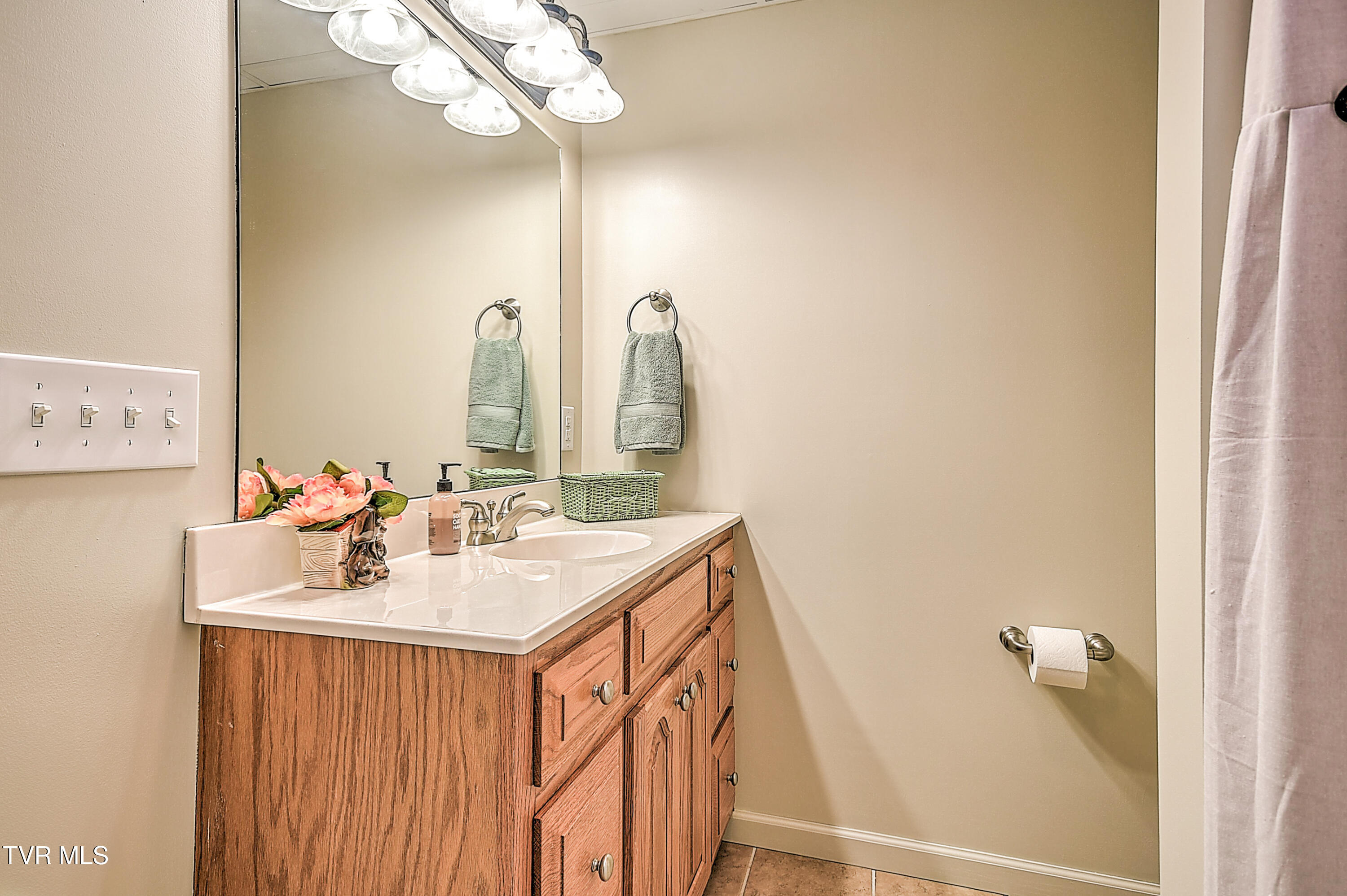 191 Sunnyfield Drive, Blountville, Tennessee image 30