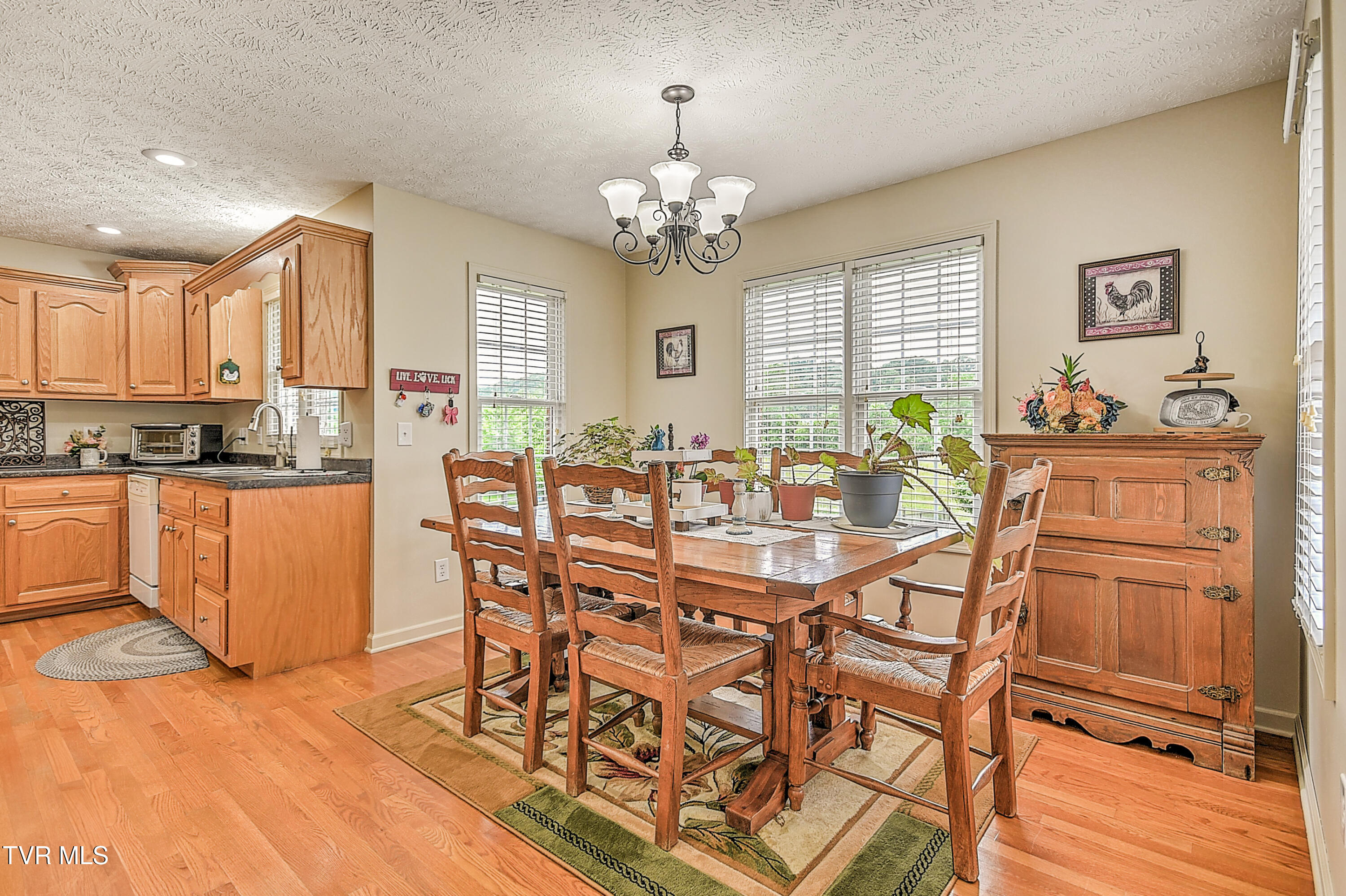 191 Sunnyfield Drive, Blountville, Tennessee image 12