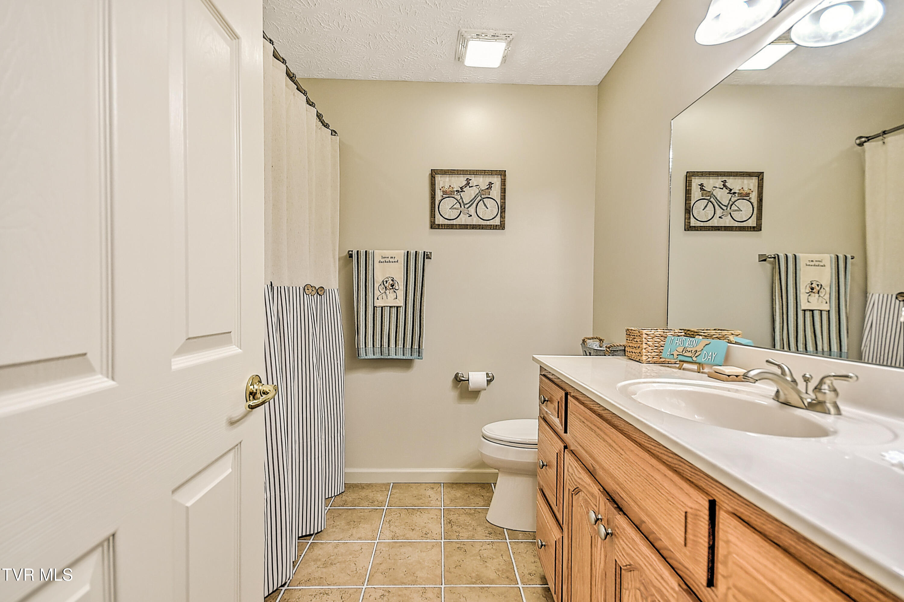 191 Sunnyfield Drive, Blountville, Tennessee image 24