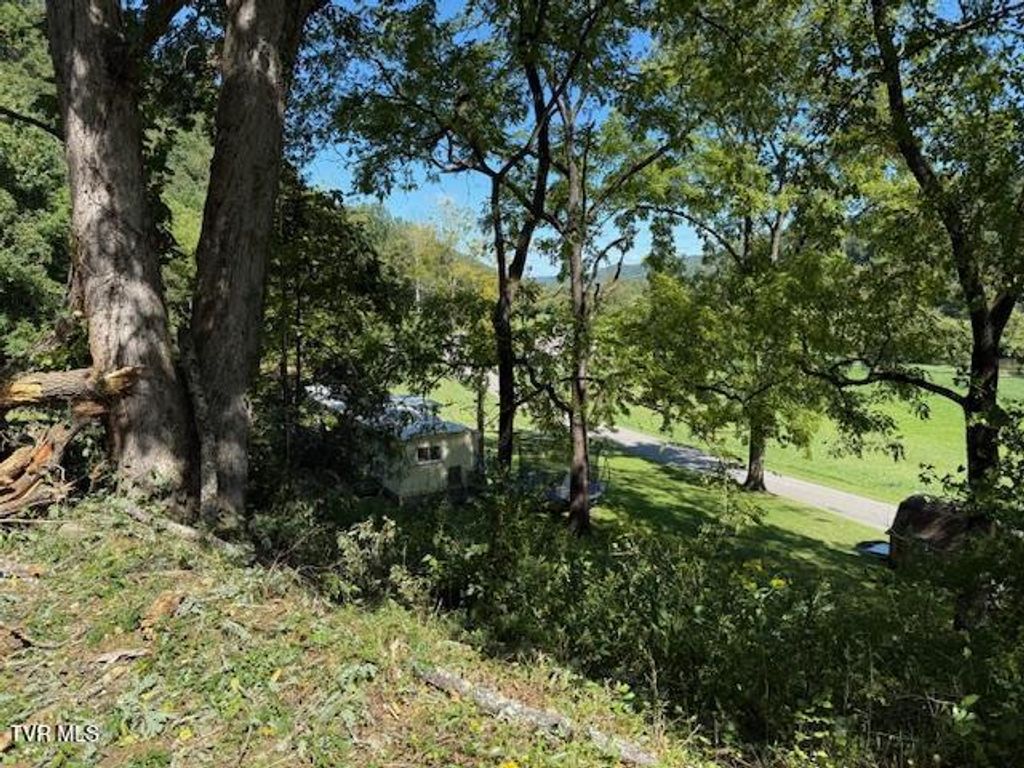 Photo of 20181 North Fork River Road, Abingdon, VA 24210 (MLS # 9986959)