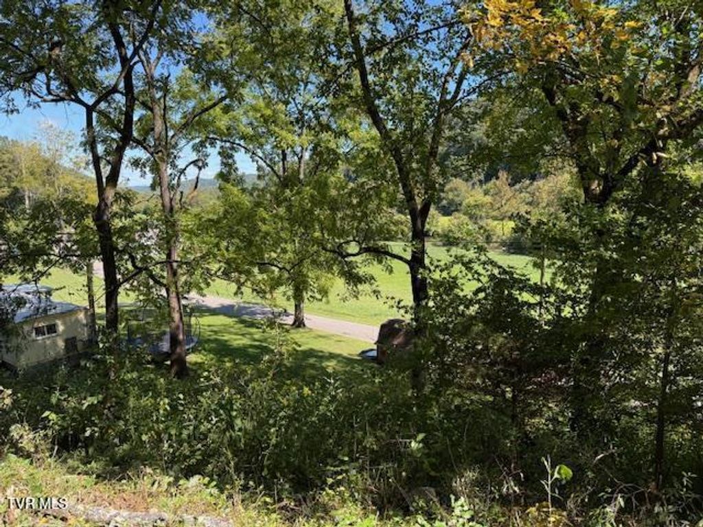 Photo of 20181 North Fork River Road, Abingdon, VA 24210 (MLS # 9986959)