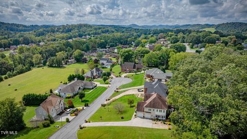 Tiny photo for 628 Red Oak Plantation Drive, Kingsport, TN 37663 (MLS # 9986460)