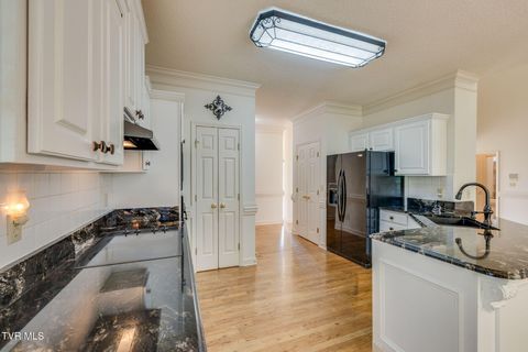 Tiny photo for 628 Red Oak Plantation Drive, Kingsport, TN 37663 (MLS # 9986460)