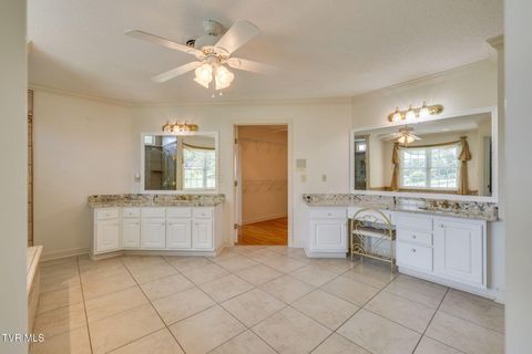 Tiny photo for 628 Red Oak Plantation Drive, Kingsport, TN 37663 (MLS # 9986460)